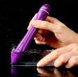 (image for) Bud Class Vibrator