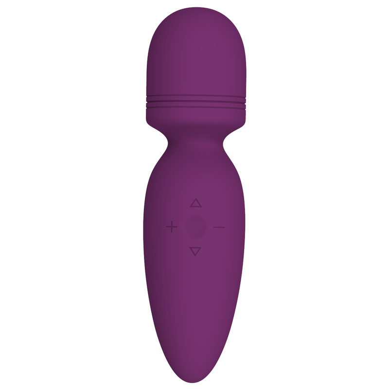 (image for) Baldwin Magic Wand AV Vibrator