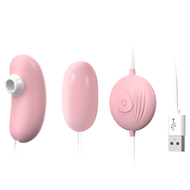 (image for) Sucker & Bullet Dual Vibrator