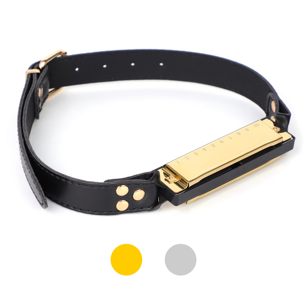 Harmonica Bit Gag