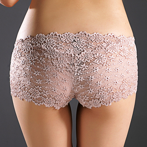 (image for) Alluring Floral Lace Transparent Panty Lingerie