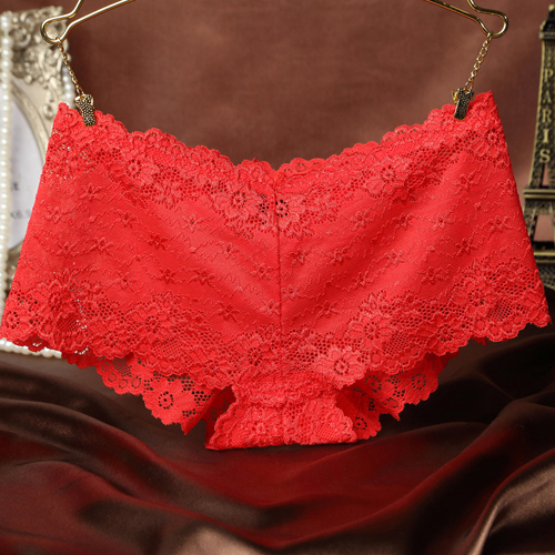 (image for) Alluring Floral Lace Transparent Panty Lingerie