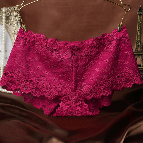 (image for) Alluring Floral Lace Transparent Panty Lingerie