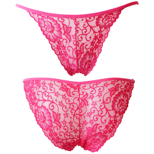 (image for) Ladies See-through Lace Briefs Sexy Underwear
