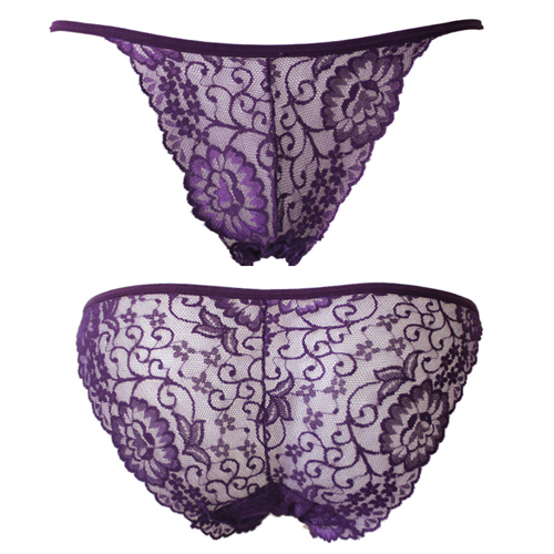 (image for) Ladies See-through Lace Briefs Sexy Underwear