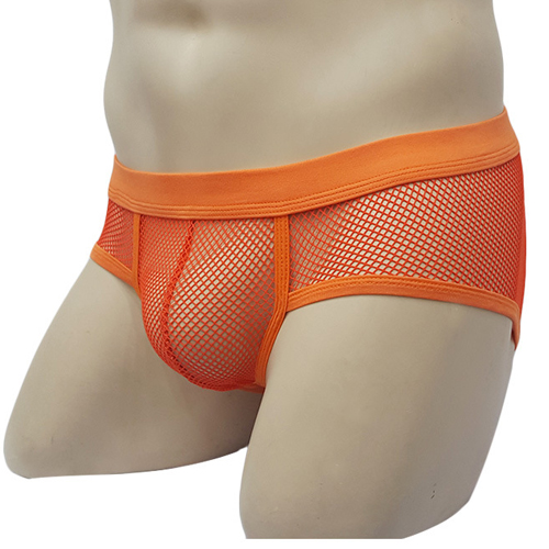(image for) See-through Breathable Mesh Panty Sexy Underwear