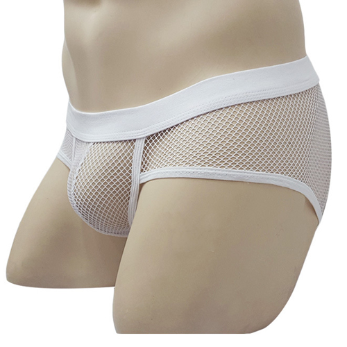 (image for) See-through Breathable Mesh Panty Sexy Underwear
