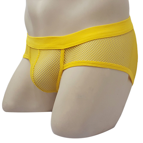 (image for) See-through Breathable Mesh Panty Sexy Underwear