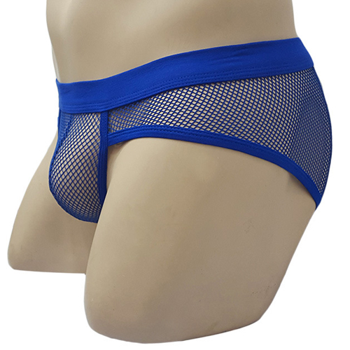 (image for) See-through Breathable Mesh Panty Sexy Underwear
