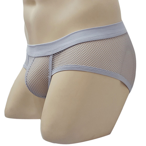 (image for) See-through Breathable Mesh Panty Sexy Underwear