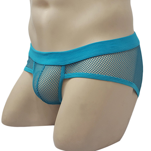(image for) See-through Breathable Mesh Panty Sexy Underwear