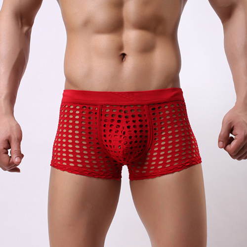 (image for) High Quality Fishnet Hollowed-out Men Hipster