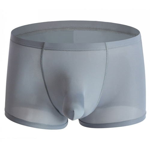 (image for) Hard To Resist Comfortable Ice Silk Boxer Brief
