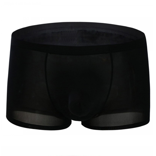 (image for) Hard To Resist Comfortable Ice Silk Boxer Brief