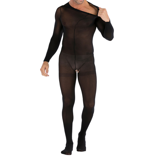 (image for) Mesh Long-sleeved Crotchless Jampsuit