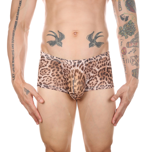 (image for) Men Sexy Transparent Leopard Mesh Boxers Briefs