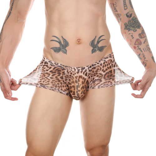 (image for) Men Sexy Transparent Leopard Mesh Boxers Briefs