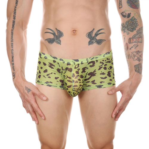 (image for) Men Sexy Transparent Leopard Mesh Boxers Briefs