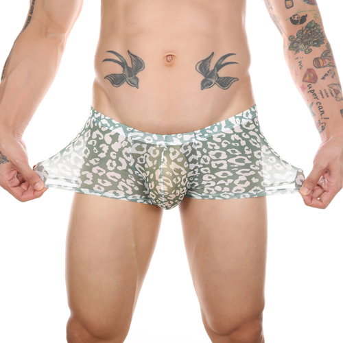 (image for) Men Sexy Transparent Leopard Mesh Boxers Briefs