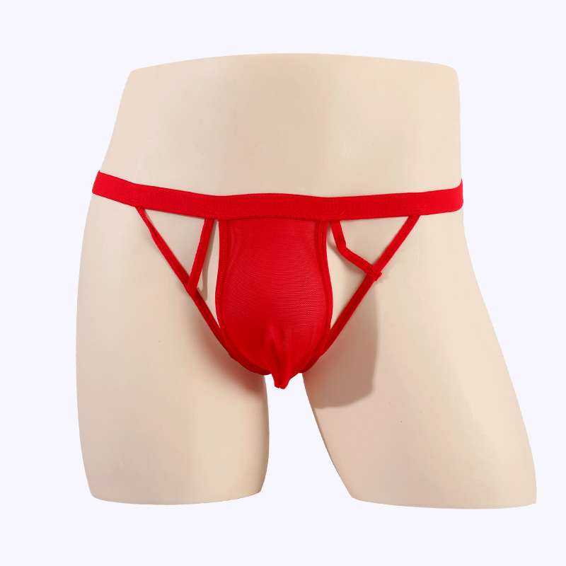(image for) Men See-through Hollowed-out Mesh Panty T-back