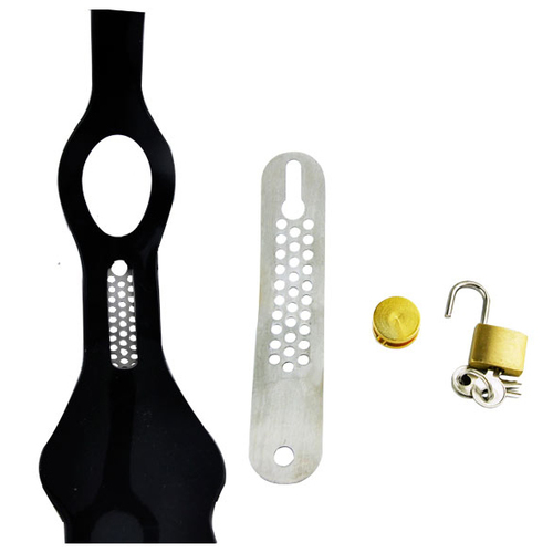 (image for) Female Steel Premium Chastity Belt
