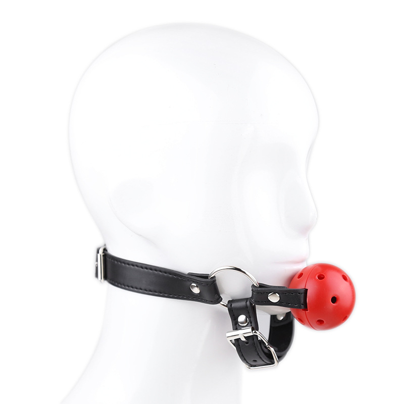 (image for) Harness Breatheable Ball Gag