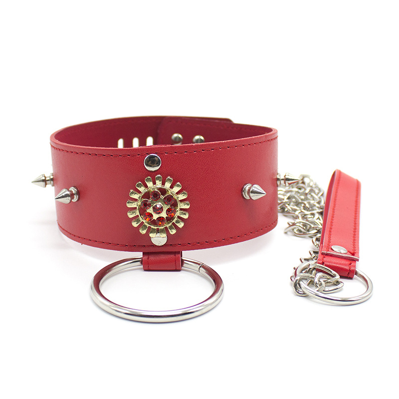 (image for) Posture Collar Steel Spiked
