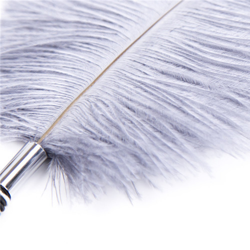 (image for) Playful Feathers Tickler
