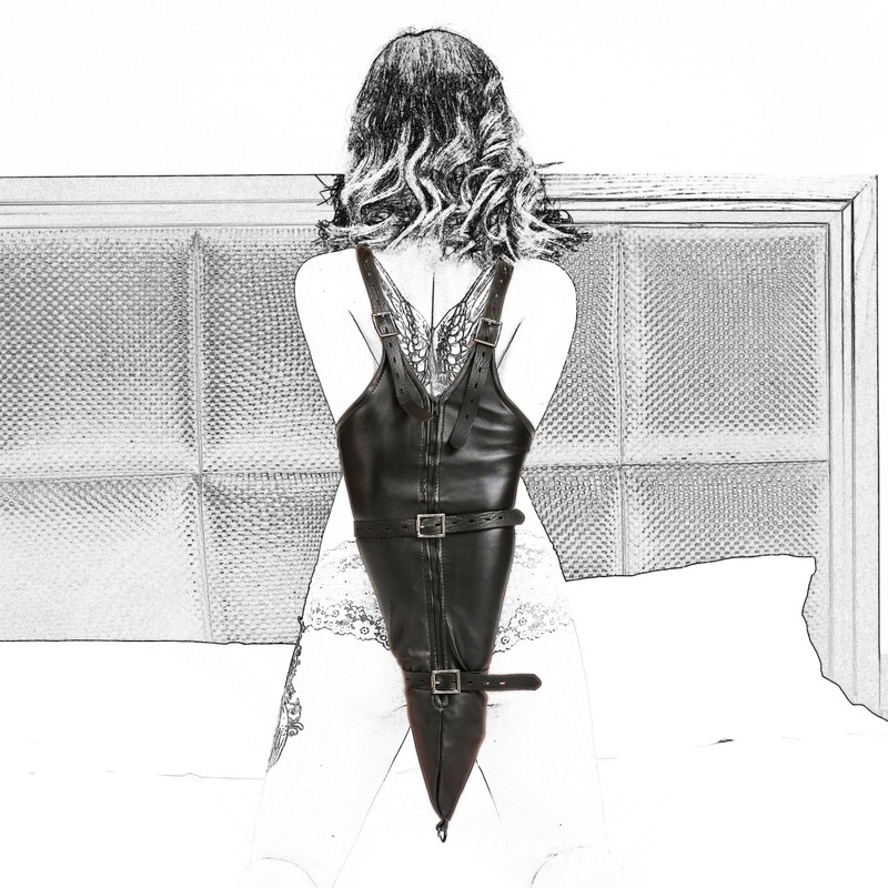 (image for) Strict Leather Premium Armbinders - Zipper