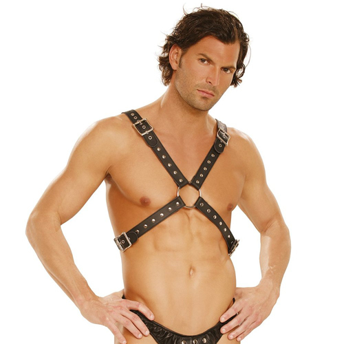 (image for) Leather Harness with Stud Detailing