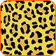 (image for) Leopard