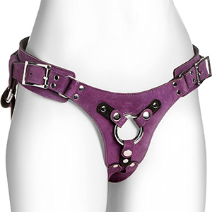 Strap On Harness & Panties